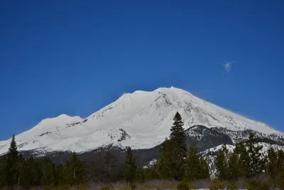 DSC_5898 (Large).JPG